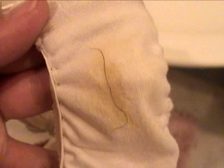 サンプル画像 4