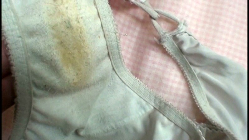 サンプル画像 15