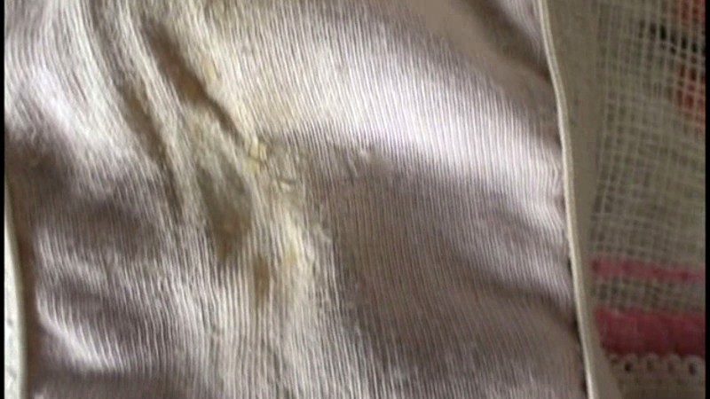 サンプル画像 20