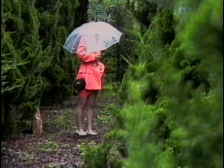 サンプル画像 5