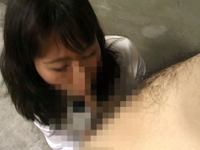 サンプル画像 15