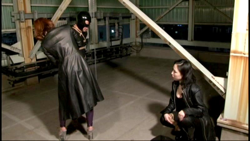 サンプル画像 17