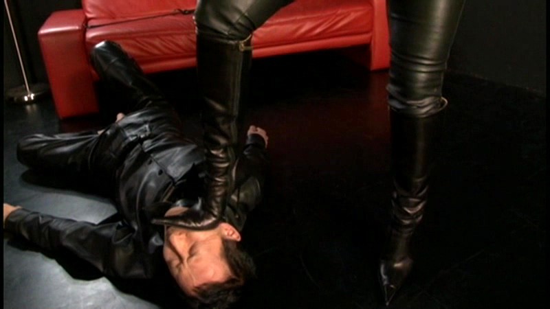 サンプル画像 8