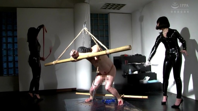 サンプル画像 19