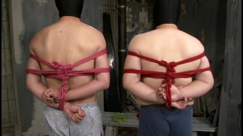 サンプル画像 4