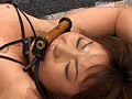サンプル画像 6