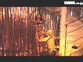 サンプル画像 36