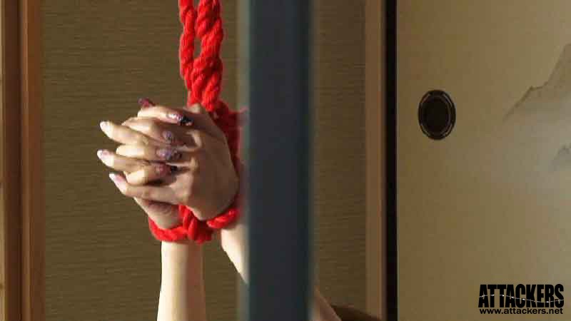 サンプル画像 11