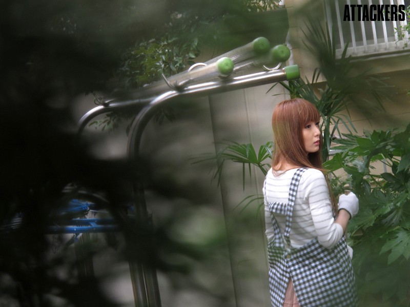 サンプル画像 12