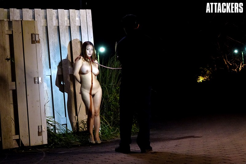 サンプル画像 9