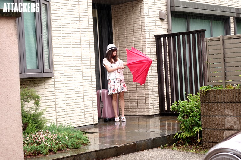 サンプル画像 2