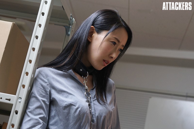 サンプル画像 9