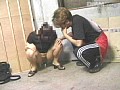 サンプル画像 17