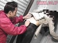 サンプル画像 36