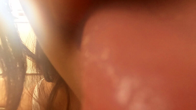 サンプル画像 11