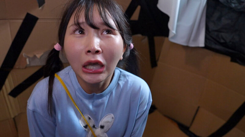 サンプル画像 19