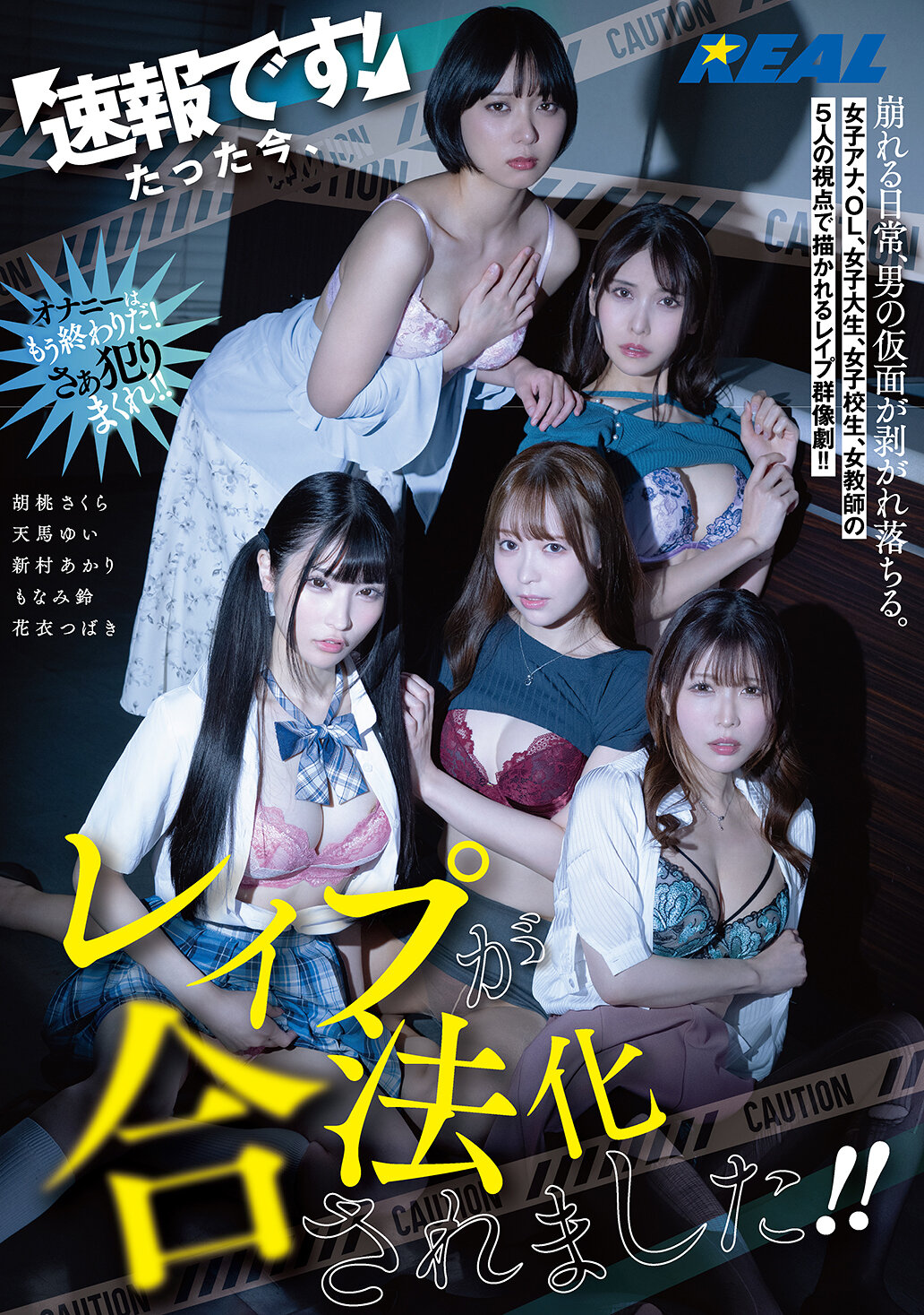 パッケージ画像