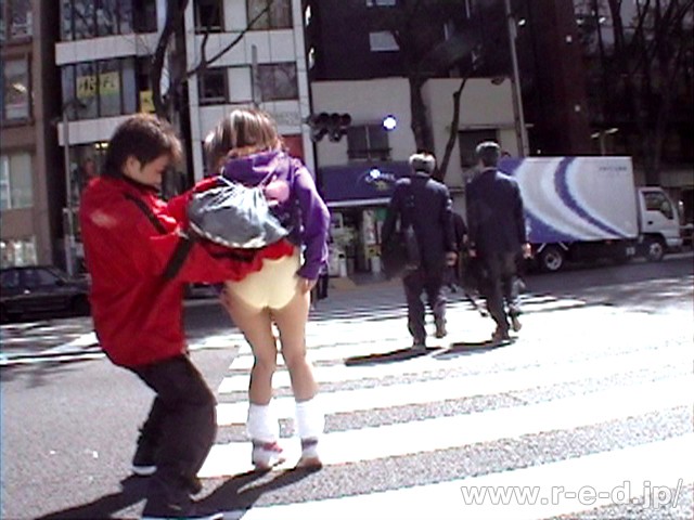 サンプル画像 3