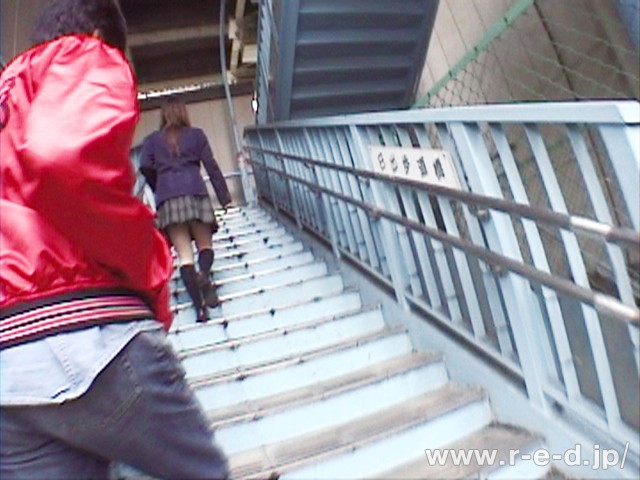 サンプル画像 8