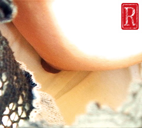 サンプル画像 10