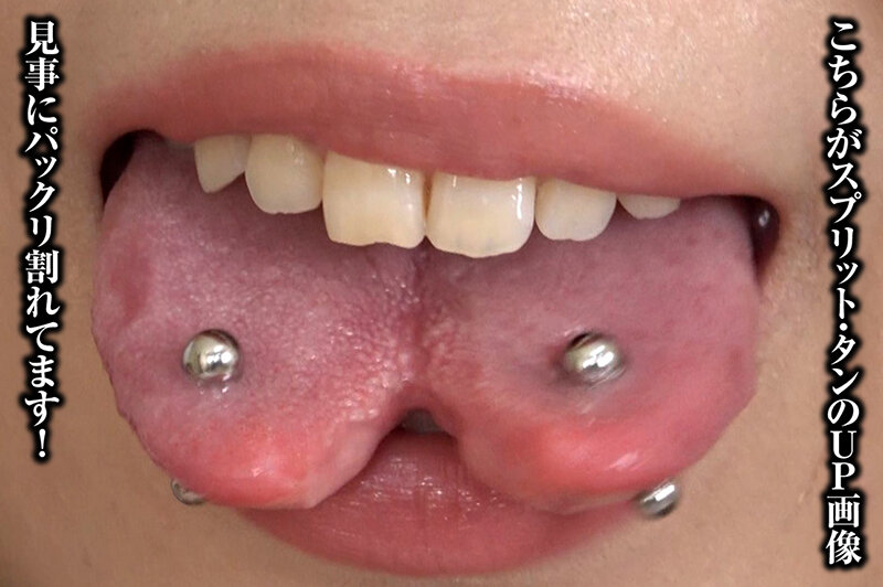 サンプル画像 11