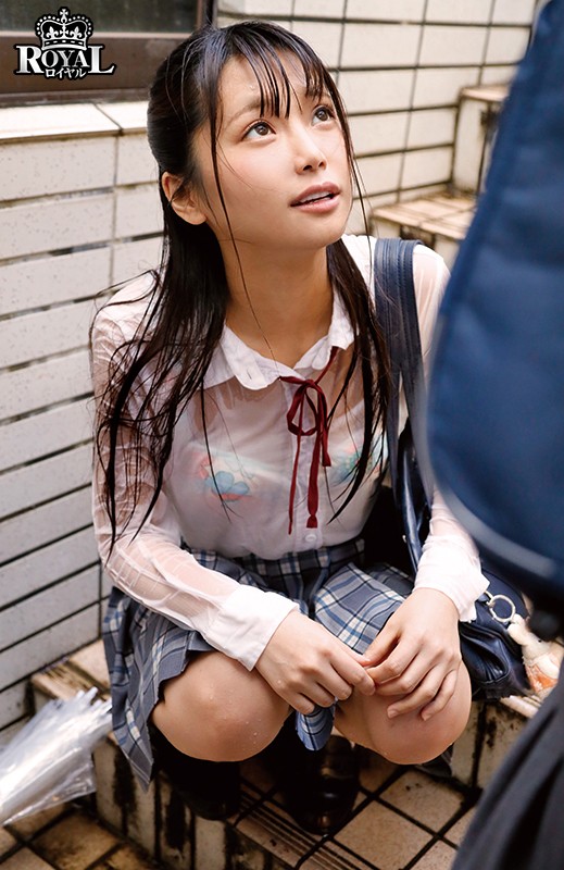 サンプル画像 6