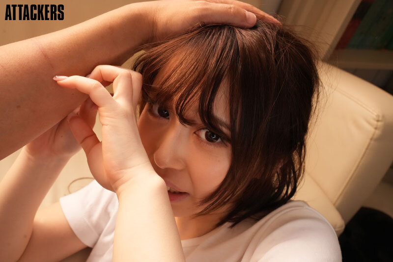 サンプル画像 11