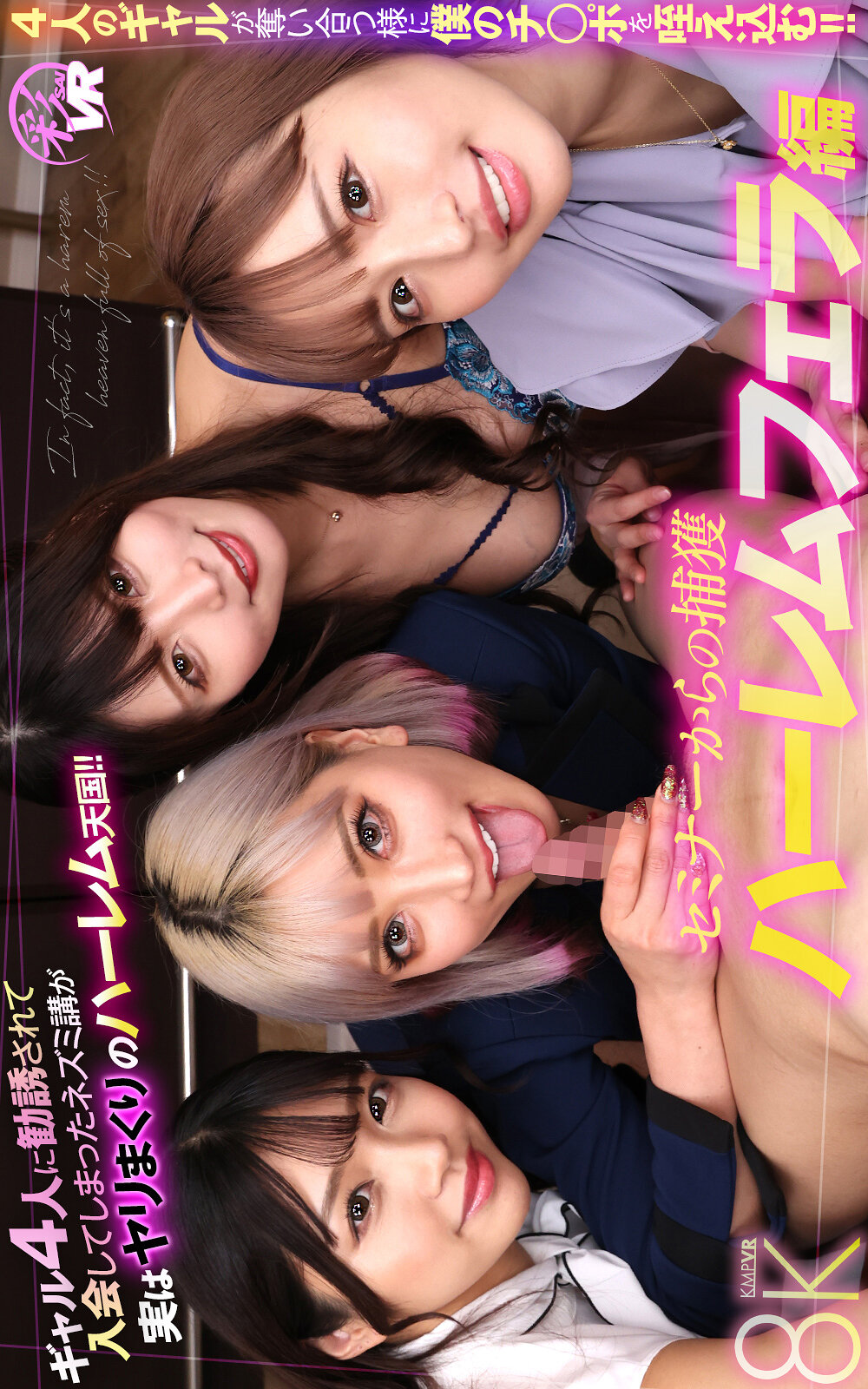 パッケージ画像