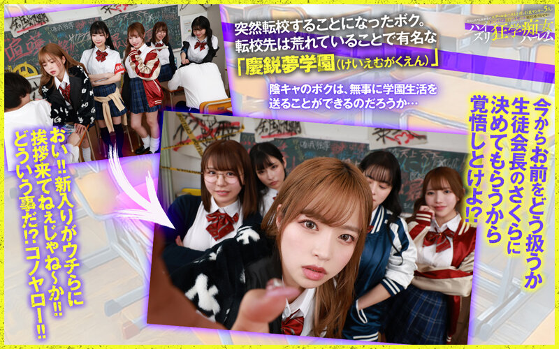 サンプル画像 5