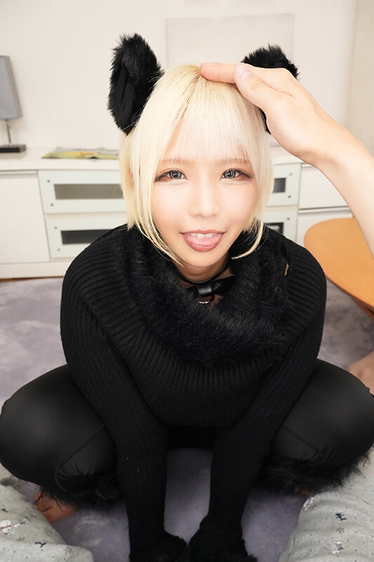 サンプル画像 17