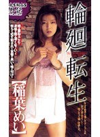 パッケージ画像