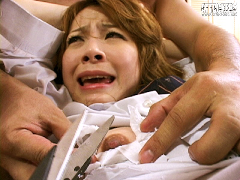 サンプル画像 3