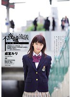 パッケージ画像