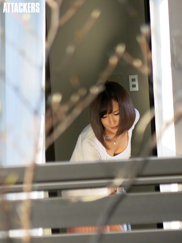 サンプル画像 12