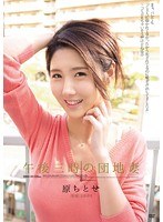 パッケージ画像