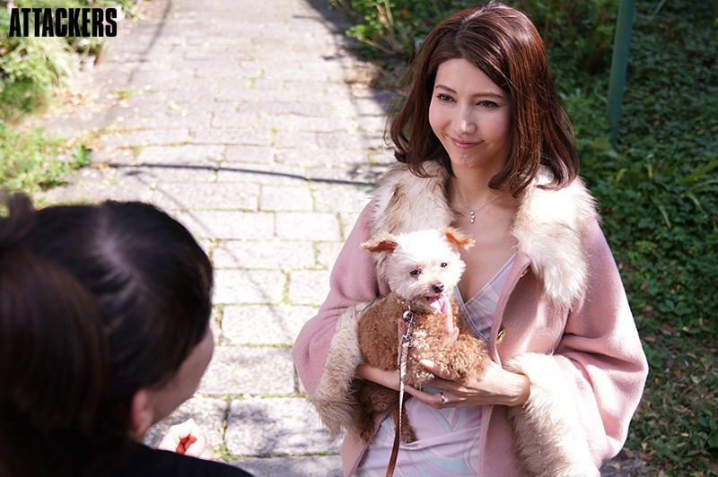 サンプル画像 6