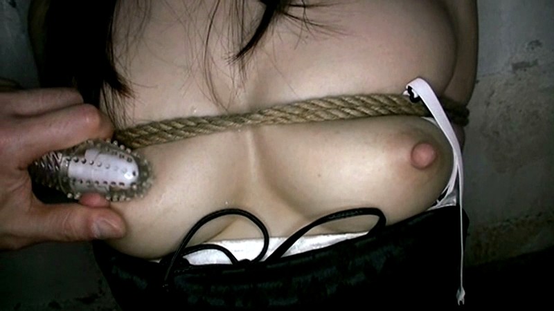 サンプル画像 16