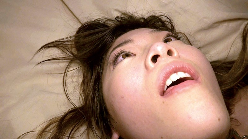 サンプル画像 20