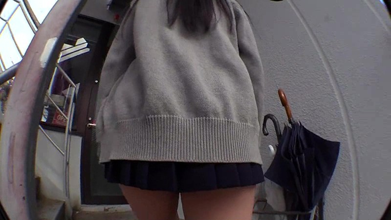 サンプル画像 12