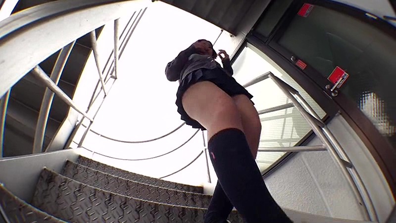 サンプル画像 19