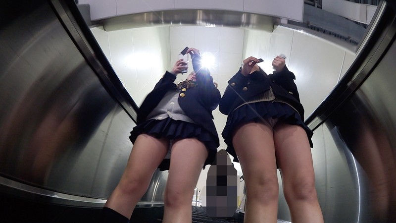 サンプル画像 11