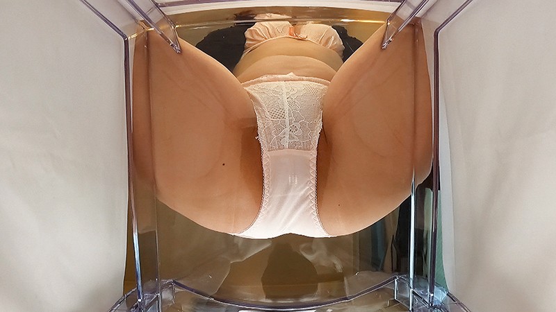 サンプル画像 7