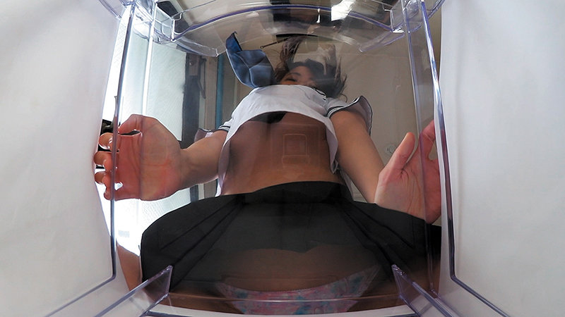 サンプル画像 12