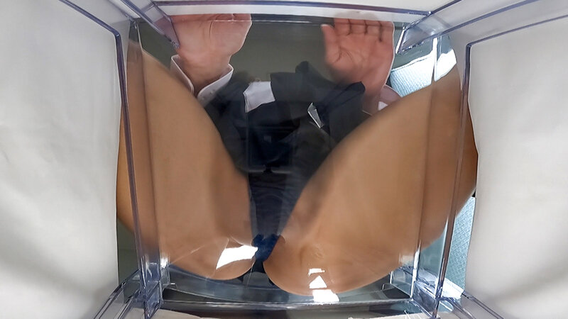 サンプル画像 5