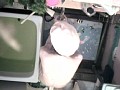 サンプル画像 31