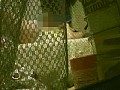 サンプル画像 13