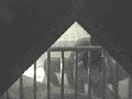 サンプル画像 15