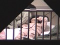 サンプル画像 6