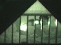 サンプル画像 8