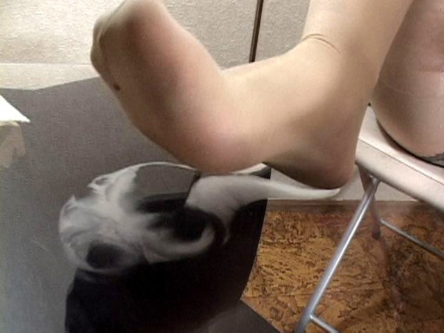 サンプル画像 4